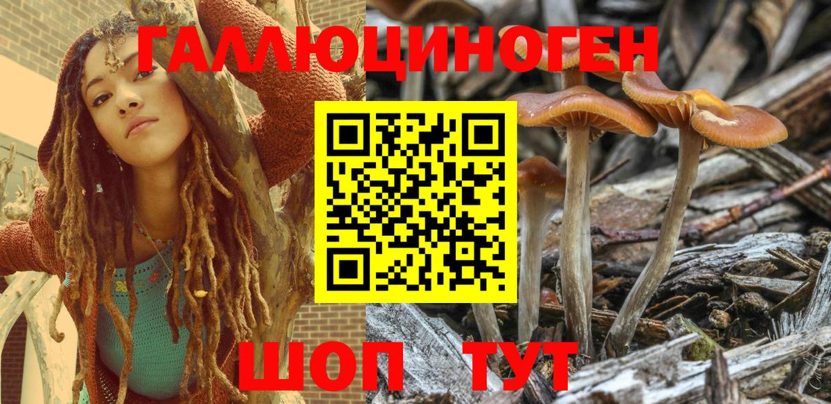 Псилоцибиновые грибы прущие грибы Гуково